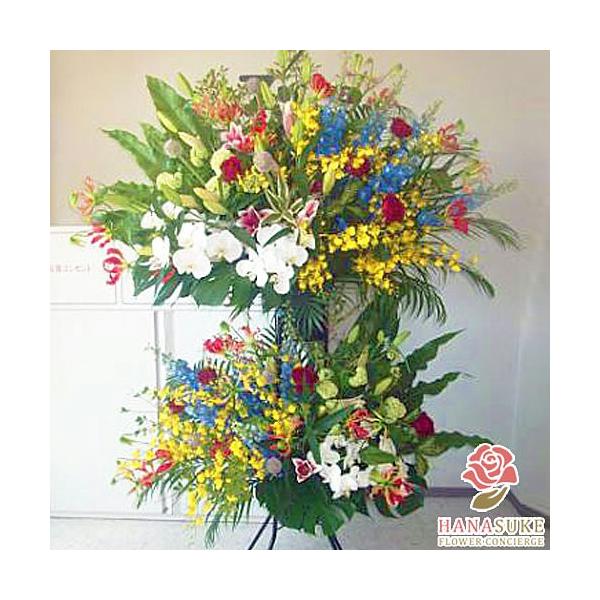 ԐF͑Iׂ25Fyz,D,摜,zySΉX^hԁzt[RVFWIԉ̂jX^hԂQi@33000~@