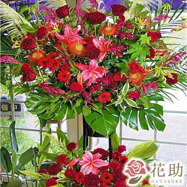 ԐF͑Iׂ25Fyz,D,摜,zySΉX^hԁzt[RVFWIԉ̂jX^h2i@34000~@