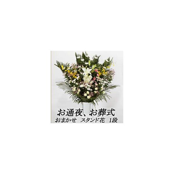 t[RVFWIԉ̒ʖ@VX^hԁ@1i@26000~