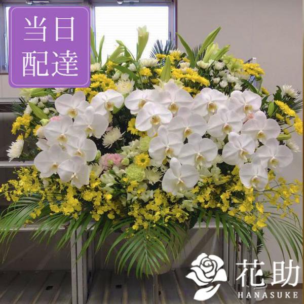 yԉ񂩂n͂zV,ʖy,D,摜zt[RVFWIԉ̒ʖ@VX^hԁ@1i@30000~