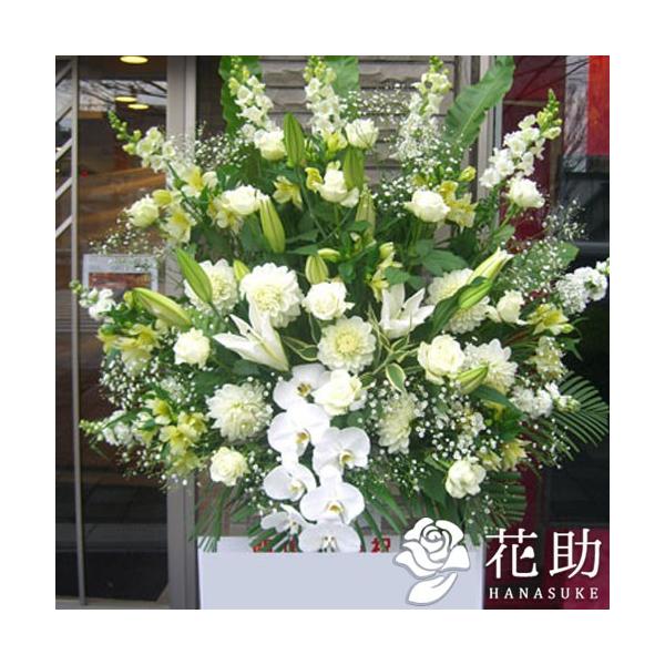 ynzuz͂vXȌ`̃X^h 1i 19000~