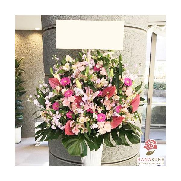 ԐF͑Iׂ25Fyz,D,摜,zySΉzt[RVFWIԉ̂jX^hԁ@1i@20000~@