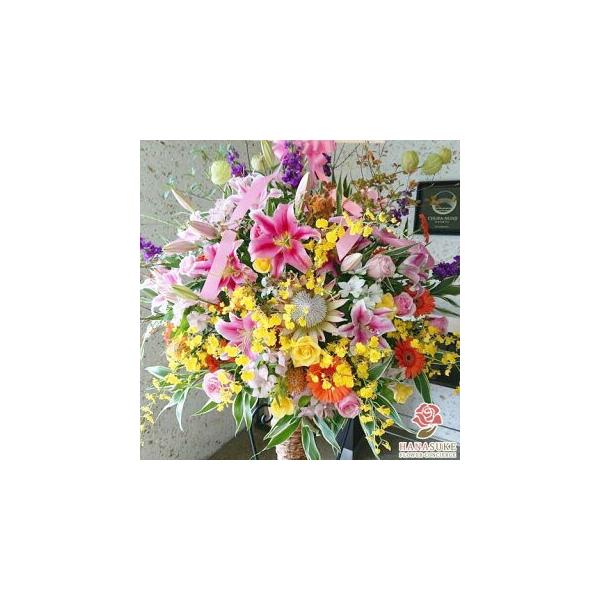 ԐF͑Iׂ25Fyz,D,摜,zySΉX^hԁzt[RVFWIԉ̂jX^h1i@25000~@