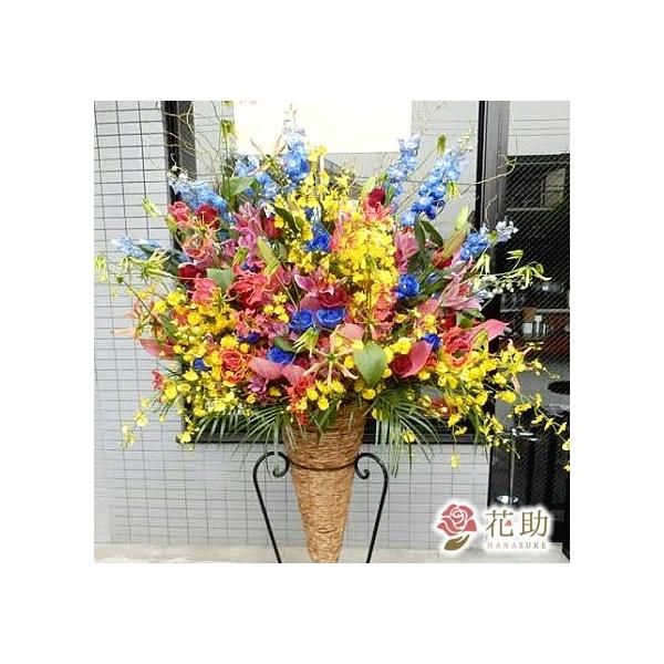 ԐF͑Iׂ25Fyz,D,摜,zySΉX^hԁzt[RVFWIԉ̂jX^h1i@27000~@