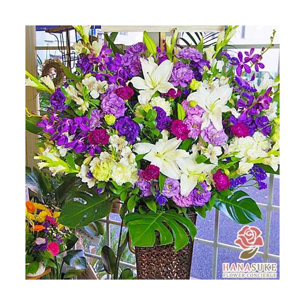 ԐF͑Iׂ25Fyz,D,摜,zySΉX^hԁzt[RVFWIԉ̂jX^h1i@30000~@