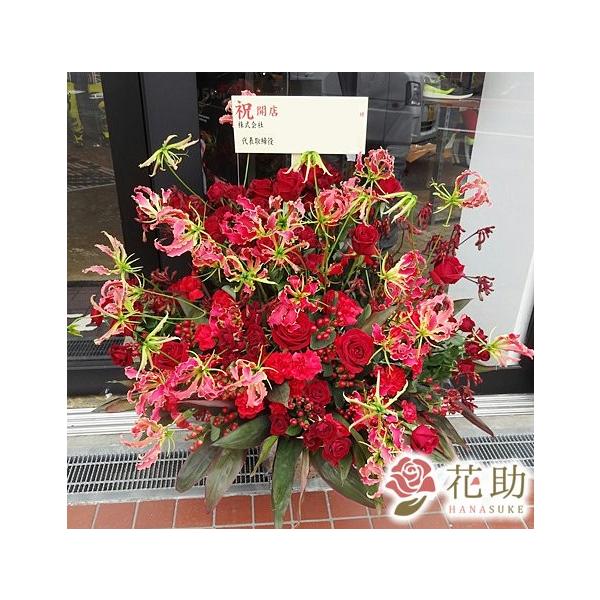 �ԐF�͑I�ׂ�25�F�y�z��,���D,�摜�����z�y�S����n���A�����W�����g�z�t�����[�R���V�F���W�����I�ԉ��̂��j���A�����W�����g�ԁ@35000�~�@
