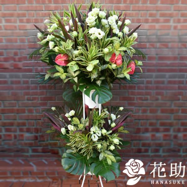 yX^hԁzt[RVFWIԉ̃VbNȃi`O[X^hԁ@2i 35000~@D@㖼É͂ߑSzB