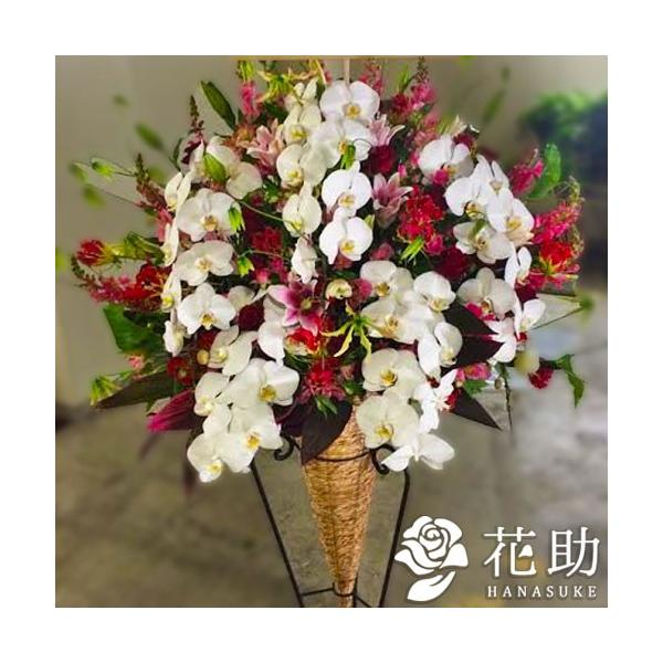 yX^hԁzt[RVFWIԉ̌ӒX^hԁ@1i 50000~@D@㖼É͂ߑSzB