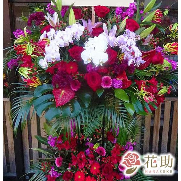 ԐF͑Iׂ25Fyz,D,摜,zySΉX^hԁzt[RVFWIԉ̂jX^h2i@36000~@