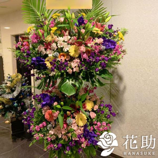 yX^hԁzt[RVFWIԉ́yXezX^h2i50000~@D@㖼É͂ߑSzB