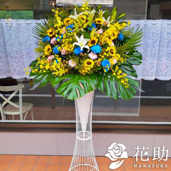 yX^hԁzt[RVFWIԉ́yXezX^h1i22000~@D@㖼É͂ߑSzB