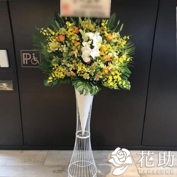 yX^hԁzt[RVFWIԉ́yXezX^h1i24000~@D@㖼É͂ߑSzB