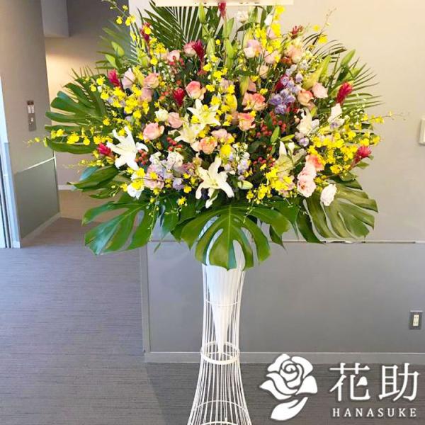 yX^hԁzt[RVFWIԉ́yXezX^h1i25000~@D@㖼É͂ߑSzB