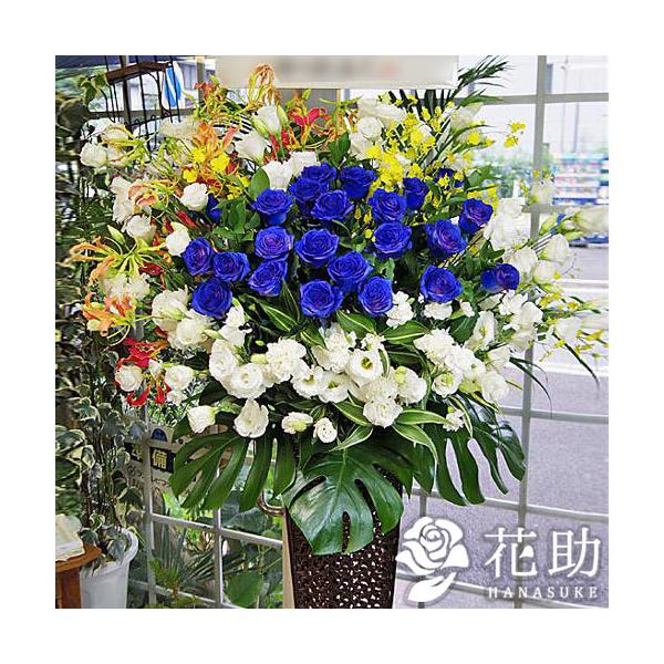 yX^hԁzt[RVFWIԉ́yozX^h1i28000~@D@㖼É͂ߑSzB