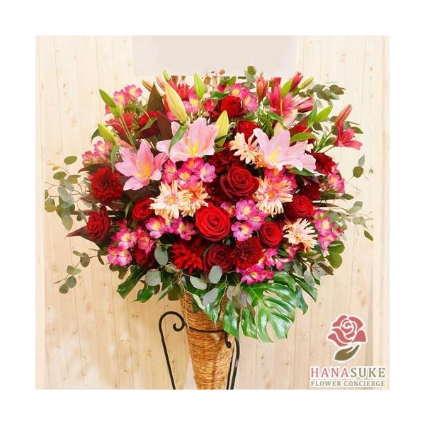 ԐF͑Iׂ25Fyz,D,摜,zySΉX^hԁzt[RVFWIԉ̂jX^h1i@23000~@