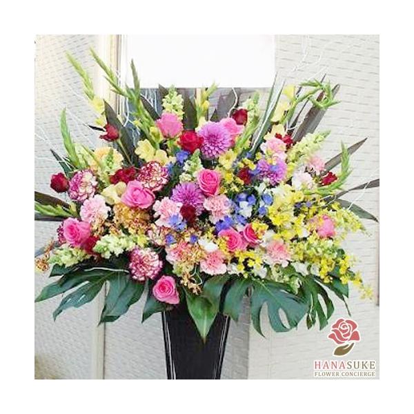 ԐF͑Iׂ25Fyz,D,摜,zySΉX^hԁzt[RVFWIԉ̂jX^h1i@24000~