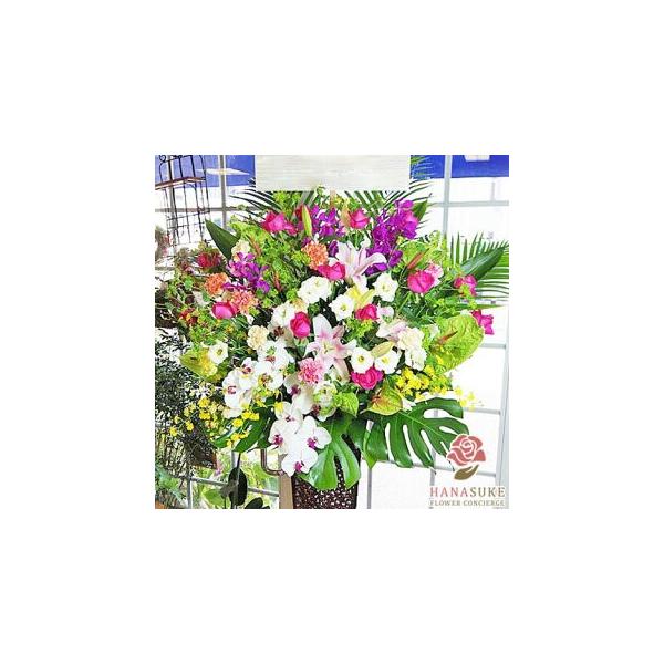 ԐF͑Iׂ25Fyz,D,摜,zySΉX^hԁzt[RVFWIԉ̂jX^h1i@22000~