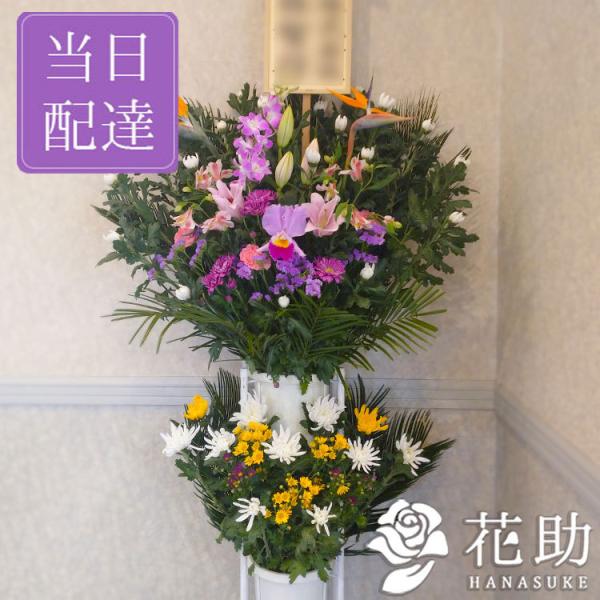 yԉ񂩂n͂zV,ʖy,D,摜zt[RVFWIԉ̒ʖ@VX^hԁ@1i@20000~