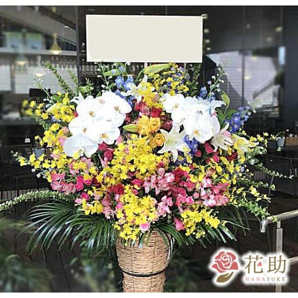 ԐF͑Iׂ25Fyz,D,摜,zySΉX^hԁzt[RVFWIԉ̂jX^h1i@35000~@