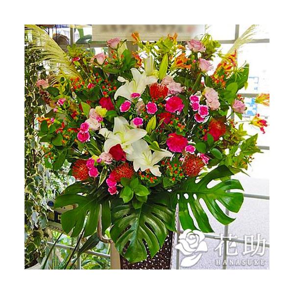 yX^hԁzt[RVFWIԉ̃X^hԁ@1i 20000~@D@㖼É͂ߑSzB