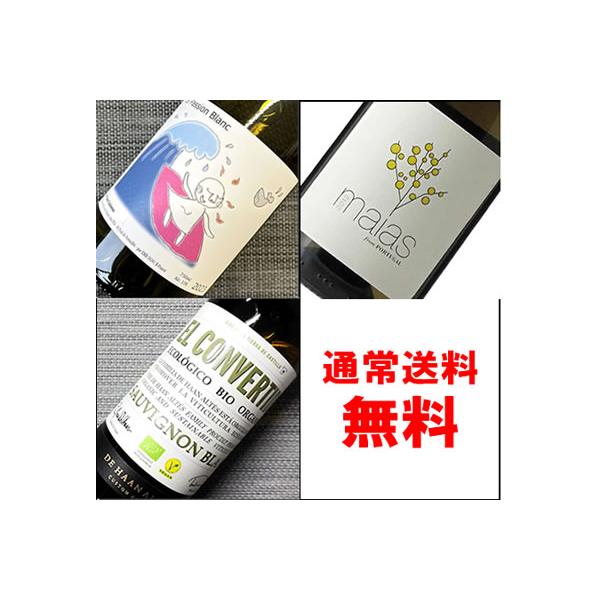 ワインセット 白ワイン ギフト お中元 2026 ビオワイン・こだわり醸造【白】ワイン飲み比べ750ML3本セット：通常送料無料