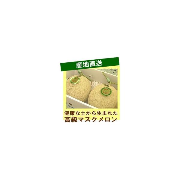 プリンスメロン 2枚目