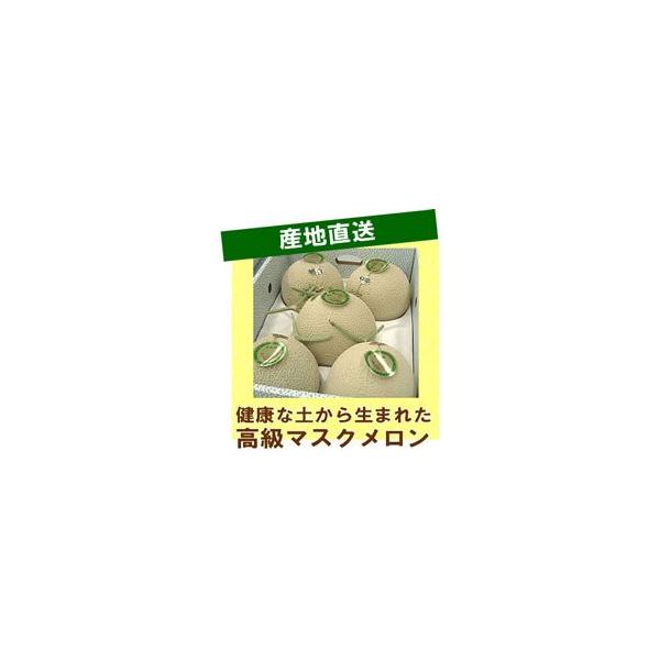 お中元 メロン ギフト 果物 めろん 健康な土から生まれた渥美産高級マスクメロン 2Lサイズ 《5玉セット》：送料無料：わけありではありません！