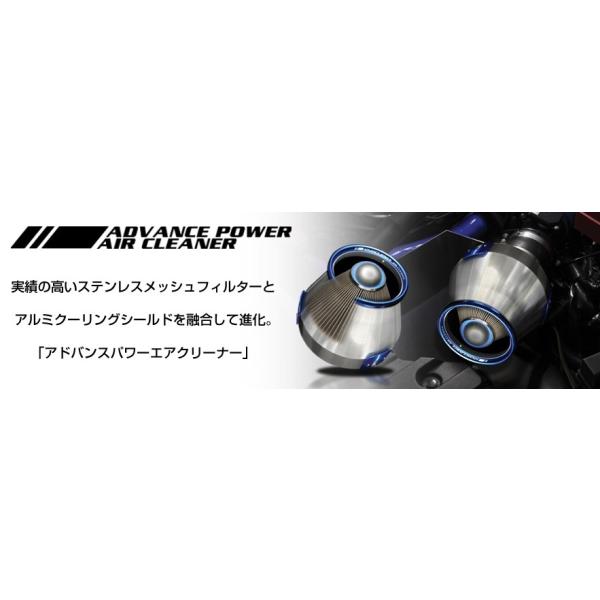BLITZ ブリッツ アドバンスパワーエアクリーナー ホンダ S660