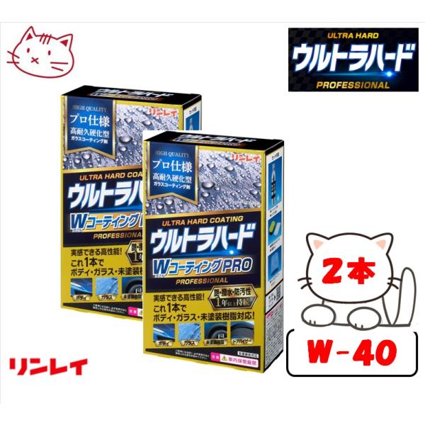 RINREI(リンレイ) ウルトラハード WコーティングPRO 100ml 【2本セット 