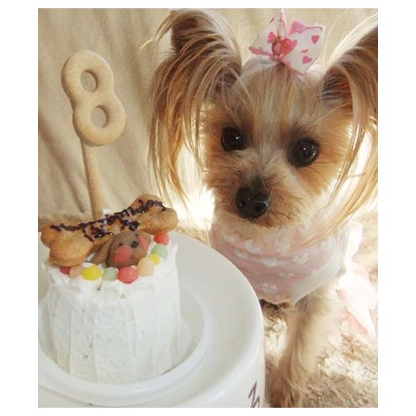 ペット 犬用 誕生日 ケーキ 無添加 通販 可愛い おしゃれ 小型犬向け お肉のプチケーキ ハッピープチミート Buyee 日本代购平台 产品购物网站大全 Buyee一站式代购 Bot Online
