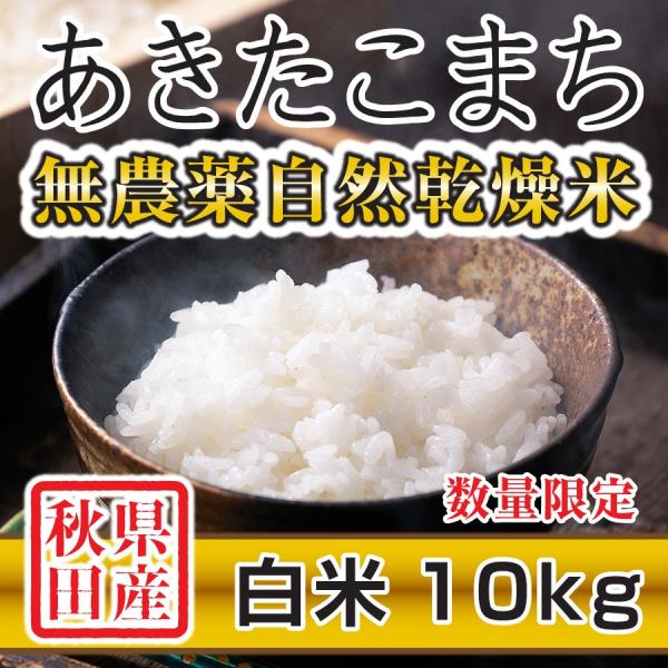 白米 令和4年産新米 秋田県産 あきたこまち 無農薬自然乾燥米 10kg 農家直送