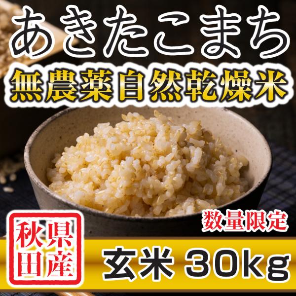 玄米 令和4年産新米 秋田県産 あきたこまち 無農薬自然乾燥米 30kg 農家直送