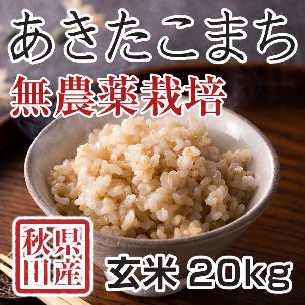玄米 無農薬 20Kgの人気商品・通販・価格比較 - 価格.com