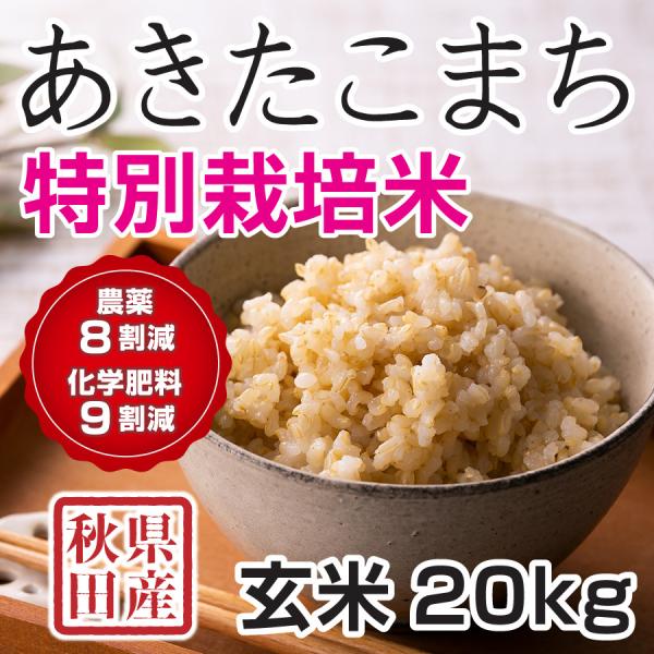 白米 令和6年産米 秋田県産 あきたこまち 特別栽培米 20kg 農薬8 白米 令和6年産米 秋田県産 あきたこまち 特別栽培米 20kg 農薬8