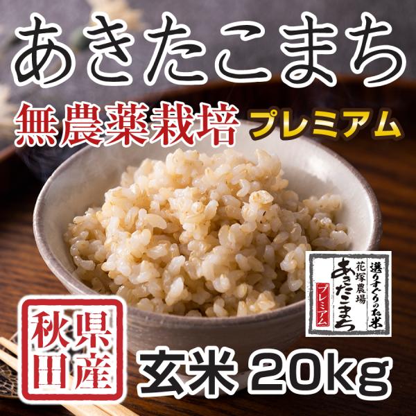 玄米 無農薬 20Kgの人気商品・通販・価格比較 - 価格.com
