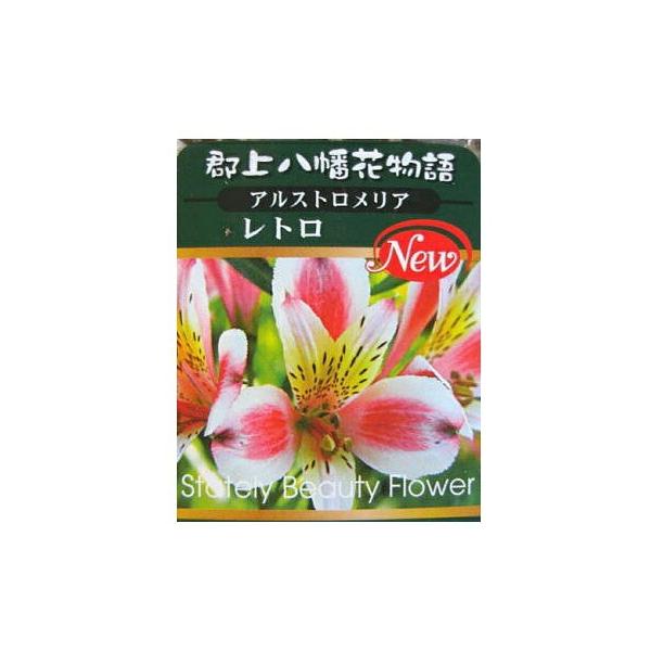 アルストロメリアの苗 レトロ 3 5号 Alstroemeria Retro 緑の風yamashoku ヤフー店 通販 Yahoo ショッピング