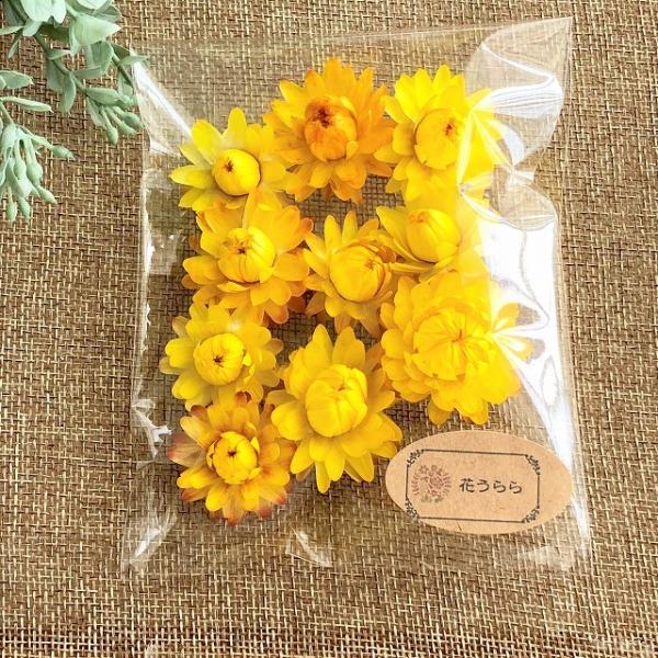 ドライフラワー ヘリクリサム イエロー 10輪 ハーバリウム レジン 髪飾り 花材 アレンジ ムギワラギク 貝細工 Buyee Buyee 提供一站式最全面最專業現地yahoo Japan拍賣代bid代拍代購服務 Bot Online