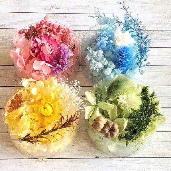 ドライフラワー プリザーブドフラワー 紫陽花4色花材セット 3 カラフル紫陽花 ハーバリウム レジン 髪飾り アレンジ Buyee Buyee 日本の通販商品 オークションの代理入札 代理購入