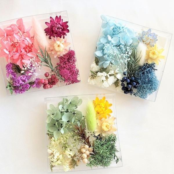 ドライフラワー プリザーブドフラワー 厳選花材パレット ヘリクリサム キット ハーバリウム 材料 花材 Buyee Buyee Japanese Proxy Service Buy From Japan Bot Online