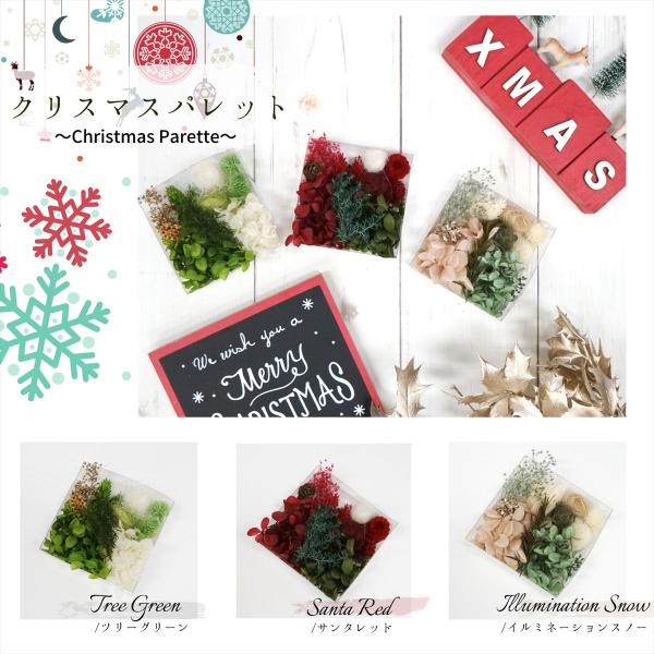 新作 厳選花材パレット 千日紅 キット ドライフラワー プリザーブドフラワー ハーバリウム 材料 花材 Buyee Buyee Japanese Proxy Service Buy From Japan Bot Online