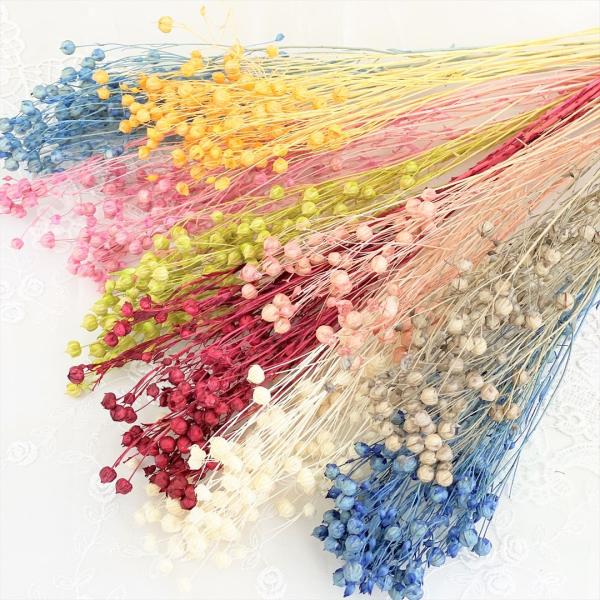 カラードライフラワー リンフラワー 5g ハーバリウム レジン 髪飾り 花材 リース キット Buyee Buyee Japanese Proxy Service Buy From Japan Bot Online