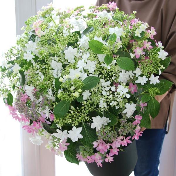 ウェディングドレス　ドレスのライト　紫陽花　ウェディング　結婚式　セット売り ウェディングドレス ドレスのライト 紫陽花 ウェディング 結婚式