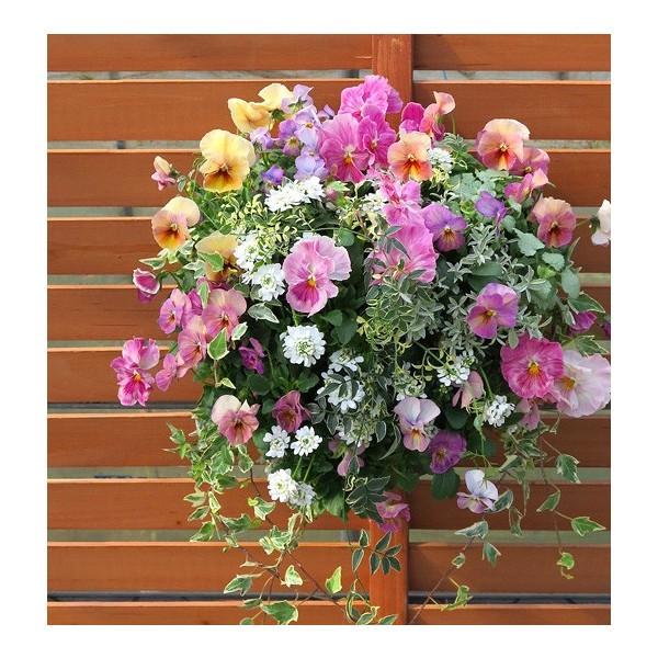 flower *送料無料* 魅惑の大人ピンクが誘う至福の毎日。 店長の極上