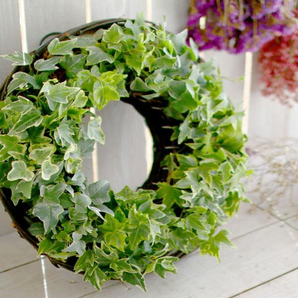 商品概要 ◆商品について 明るい室内〜室外と置き場所を選ばず、1年中成長し続けるアイビー（ヘデラ）のロングタイプをあしらいました。◆商品内容 ・リースバスケット寄せ植え+S字フック１つ・管理方法マニュアルプリント・主要植え込み植物についての...