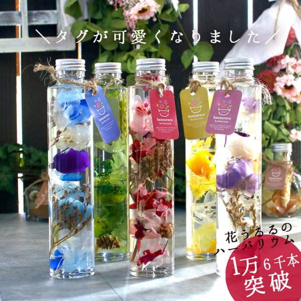 hanaururu_herbarium-200maru