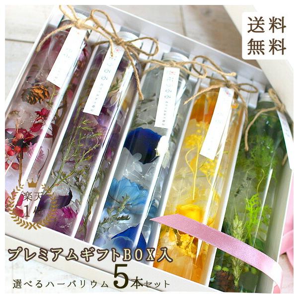 母の日 遅れてごめんね配送／ 『高級ギフトボックス入り5本セット』花