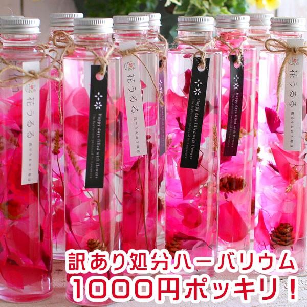 訳あり品 1000円ポッキリ 在庫限り・ピンク 花うるるのハーバリウム