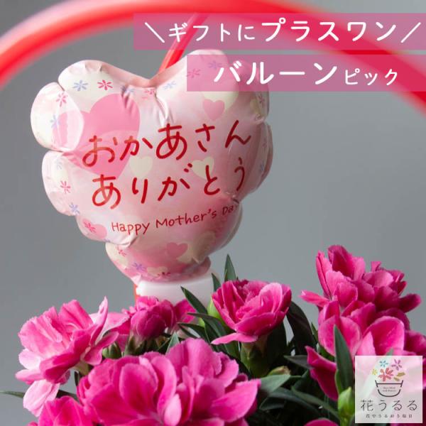 ＼母の日 花うるる／オプション ハンギング＆寄せ植え＆鉢植え 専用 バルーンピック「おかあさん ありがとう」※寄せ植えと一緒に買い物かごに入れてください
