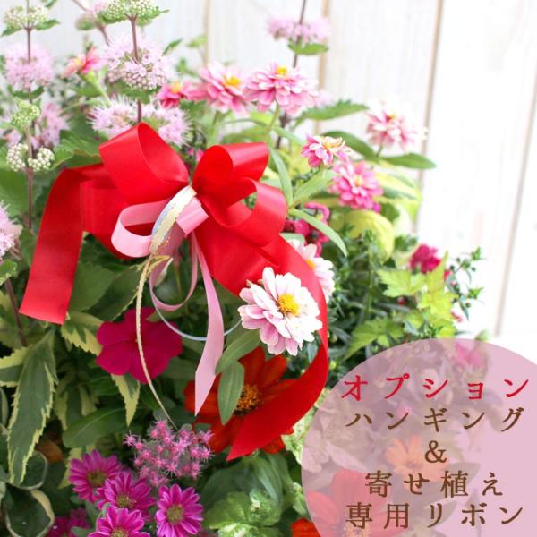 IvV nMO񂹐Ap ԂIWi{J[͉Ԃɂ܂ i񂹐AiƈꏏɔɓČςĂj