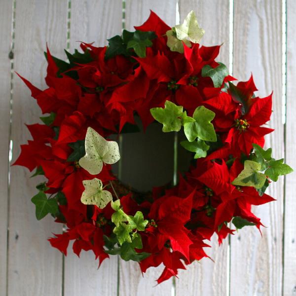 ポインセチアのリース寄せ植え[レッド] 室内 クリスマス 飾り 冬
